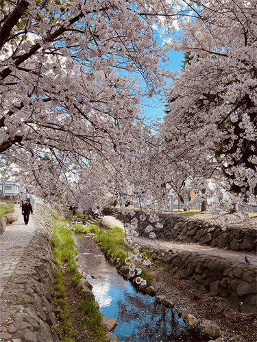 安春川の写真