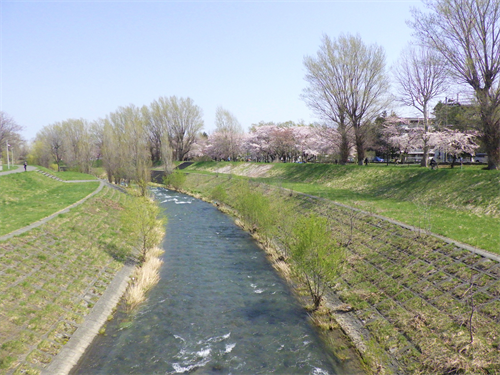 琴似発寒川の写真
