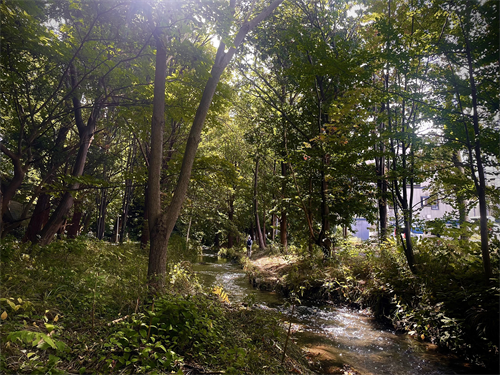 精進川の写真