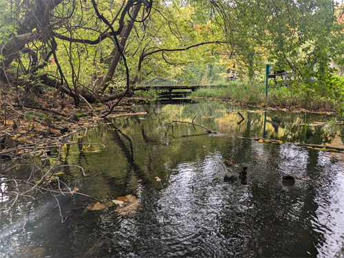 サクシュコトニ川の写真