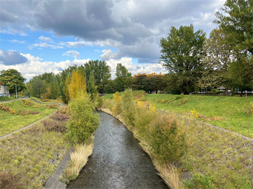 琴似発寒川の写真