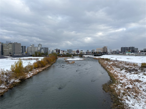 豊平川の写真