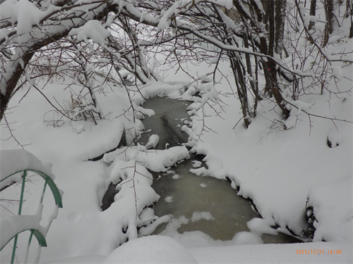 上追分川の写真