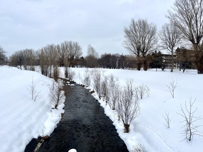 琴似発寒川の写真