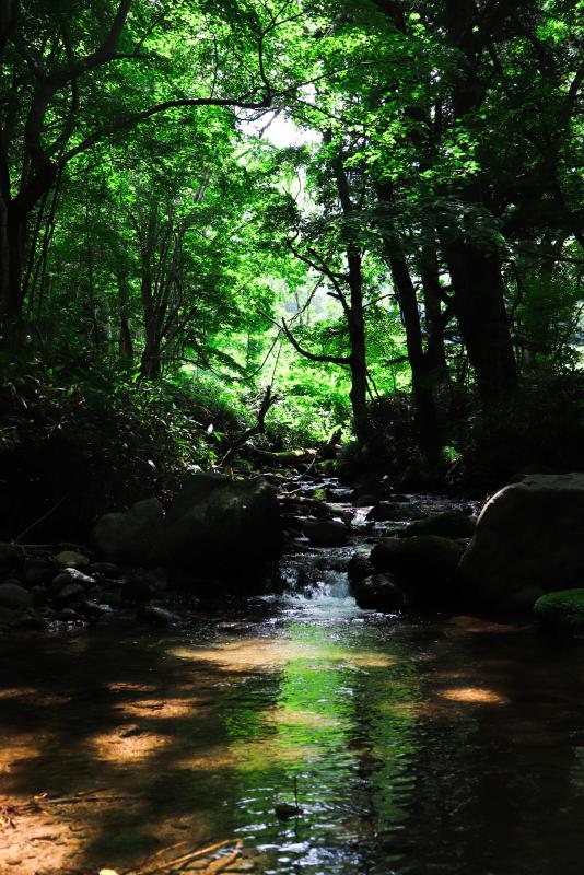 盤の沢川の写真