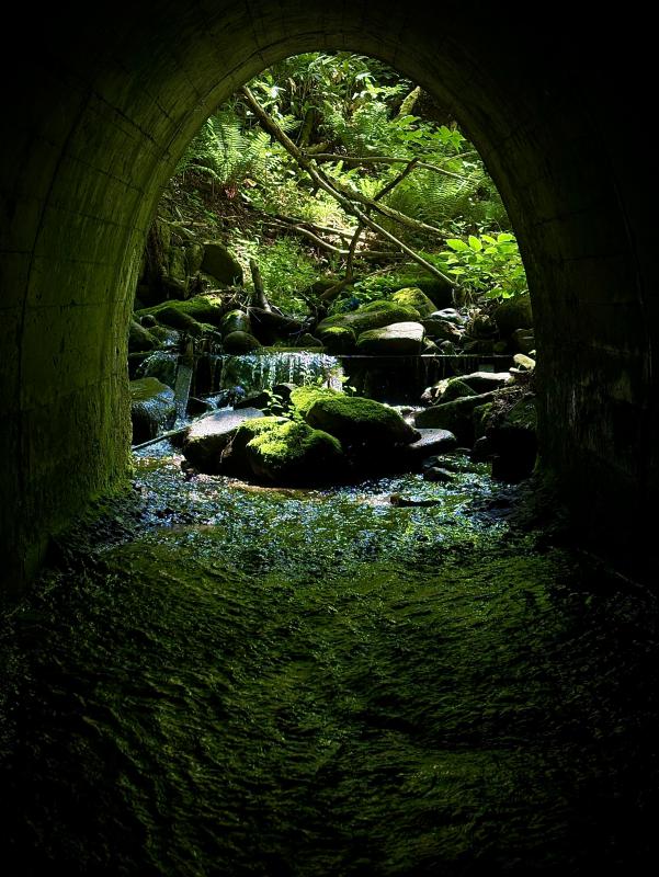 中の沢川の写真