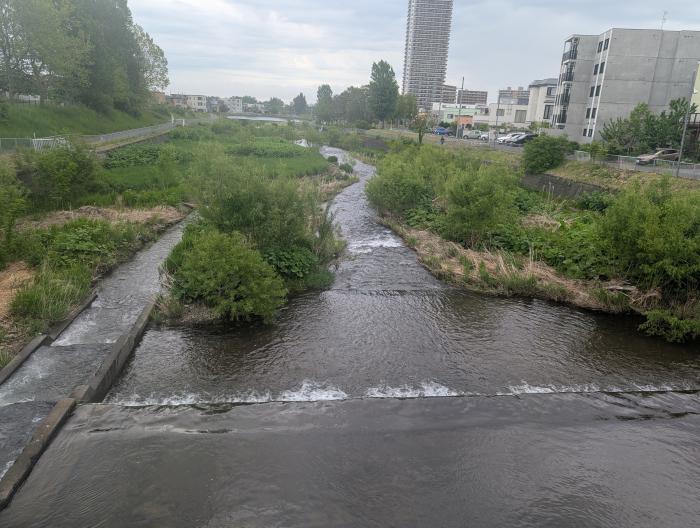 琴似発寒川の写真
