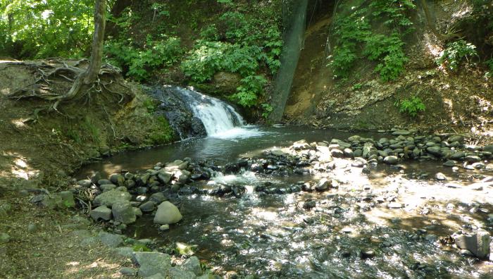 精進川の写真