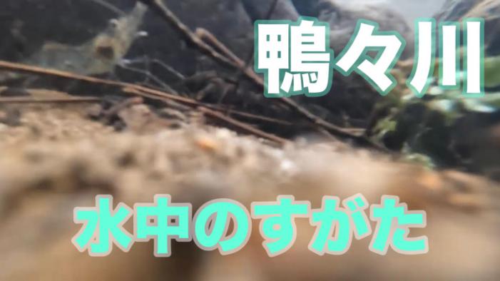 鴨々川