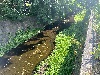 琴似川の写真