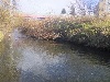 厚別川の写真(11月)