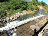 真駒内川の写真