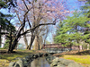鴨々川(創成川)の写真