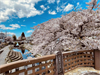 安春川の写真