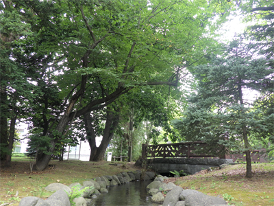 鴨々川(創成川)の写真