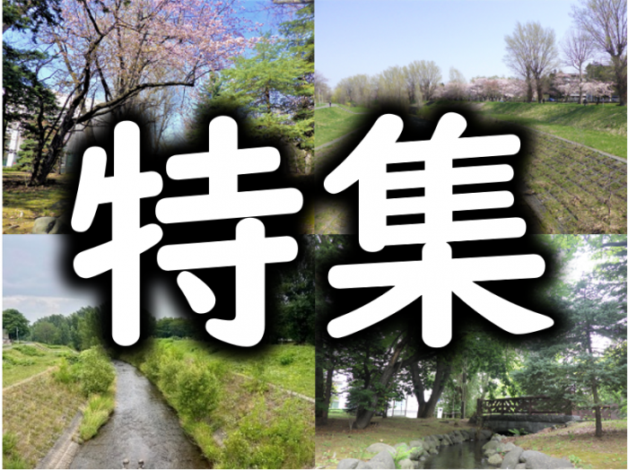 特集「四季のすがた」