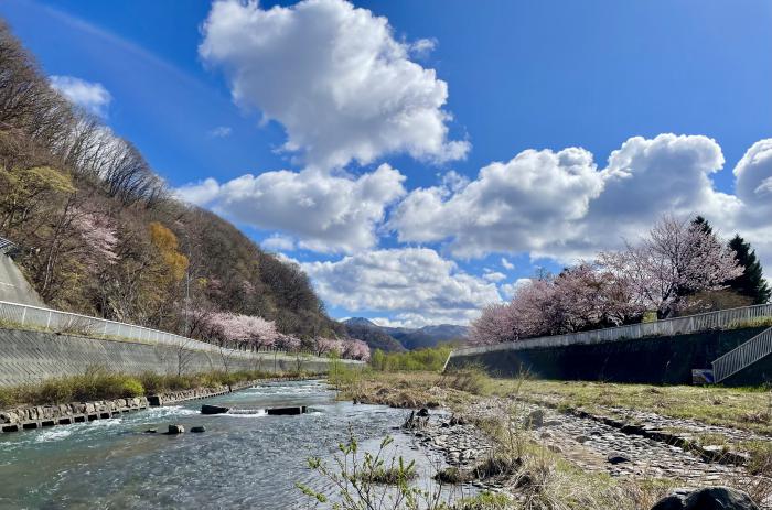 琴似発寒川の写真