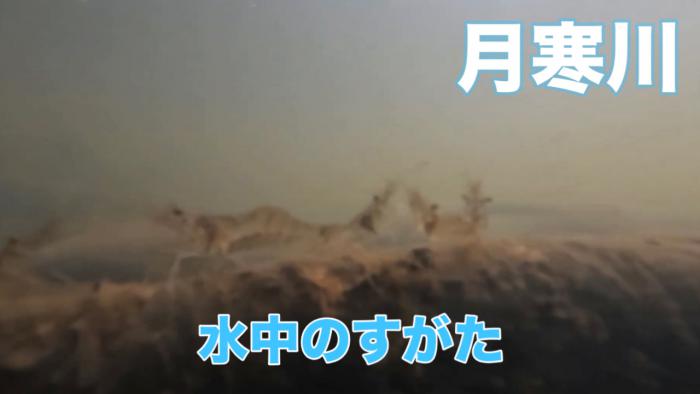 月寒川の写真
