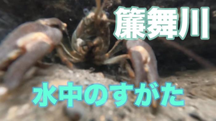 簾舞川の写真