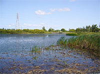 東屯田川遊水地