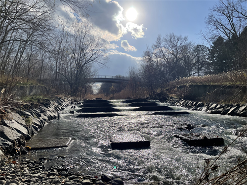 真駒内川の写真