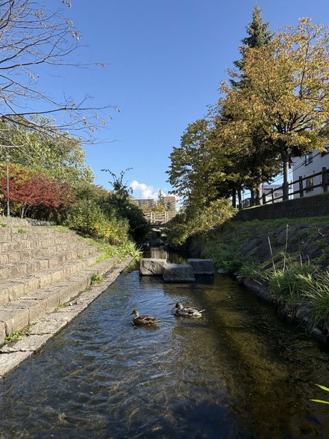安春川