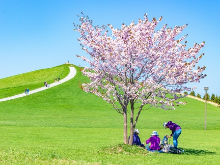 写真：モエレ沼公園