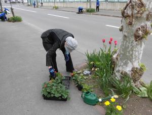 日赤奉仕団幌北分団花植えの様子3