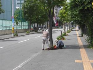 ます花壇清掃活動をする団員の皆さん1