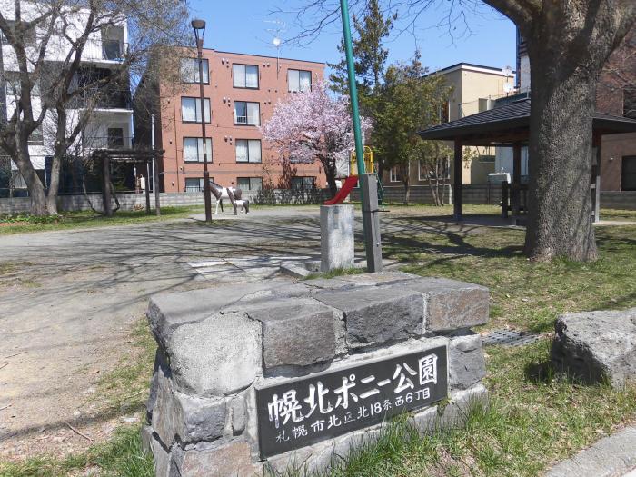 桜が開花したポニー公園の様子1