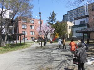 桜が開花したポニー公園の様子3