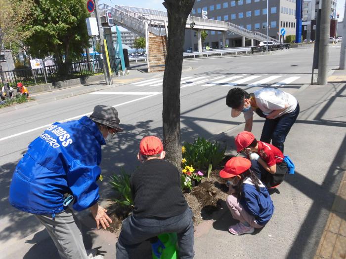 日赤花植え1