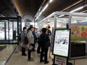 展示