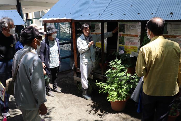 薬草植物園の様子