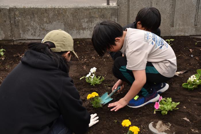 花植えのようす2
