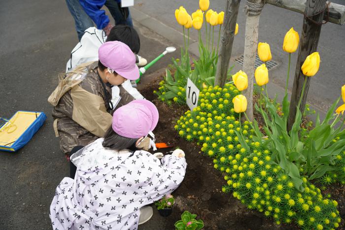 花を植える小学生の様子1