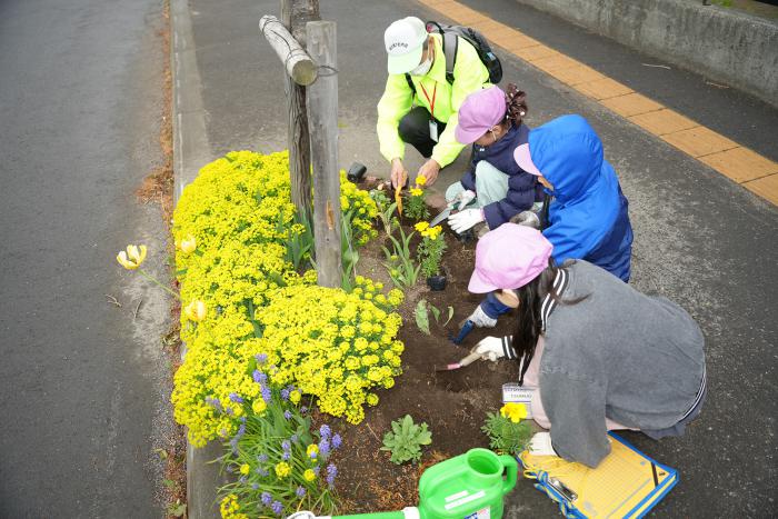 花を植える小学生の様子2