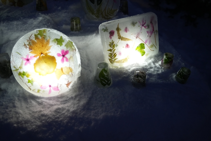 展示されている氷中花