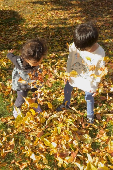 グランプリ賞に選定された写真