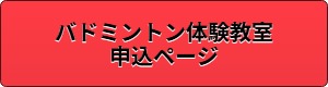 R8_button_badminton