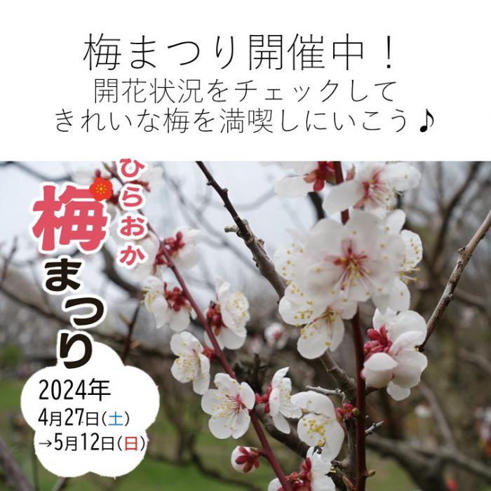 240501