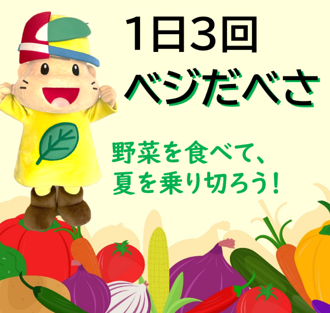 24080203