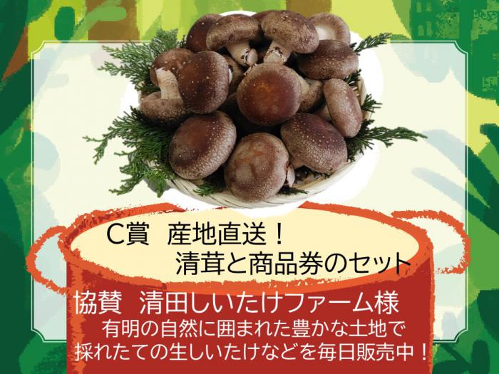 241203siitake