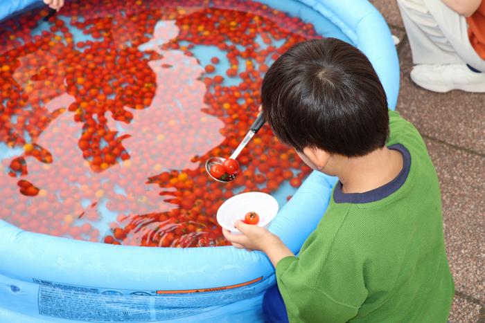 トマトすくい2025