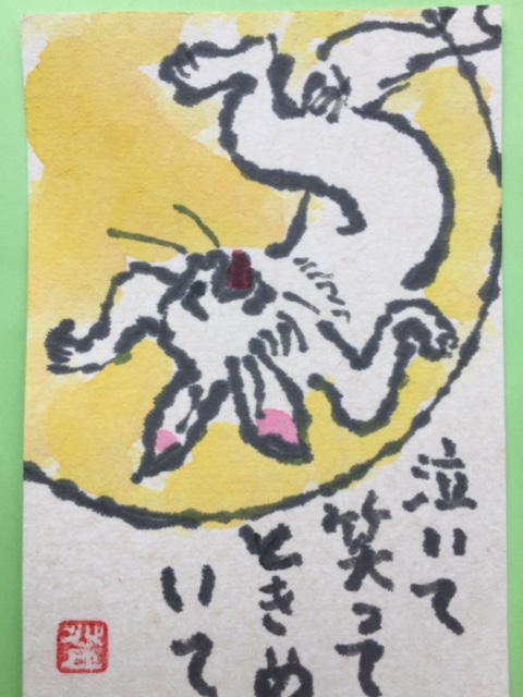 絵手紙の写真1