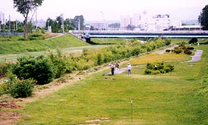 写真：厚別川緑地コース