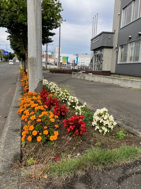10月７日（月曜日）まだまだ元気に咲いています