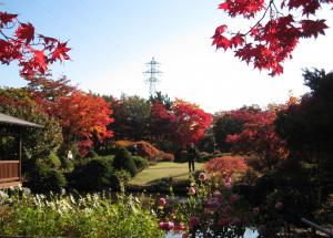 日本庭園