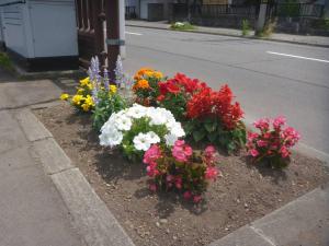 花壇の状況