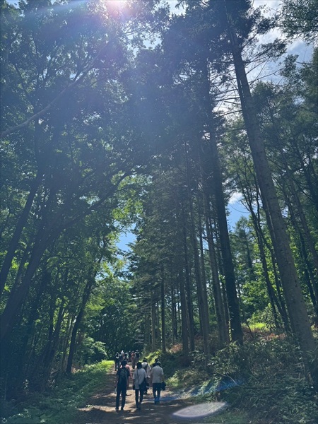 心地よさを感じながら山道を進みます